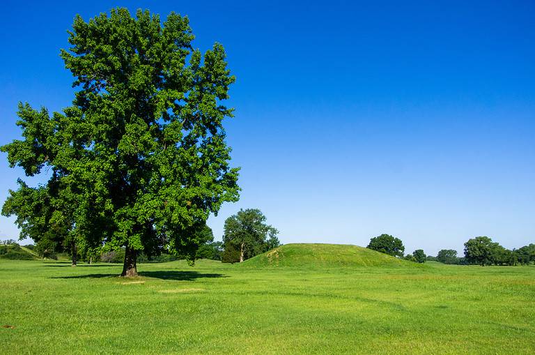 Cahokia mounds Native American archeological site in Southern Illinois with tree in the foreground