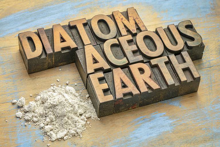 food grade diatomaceous earth supplement for cats
