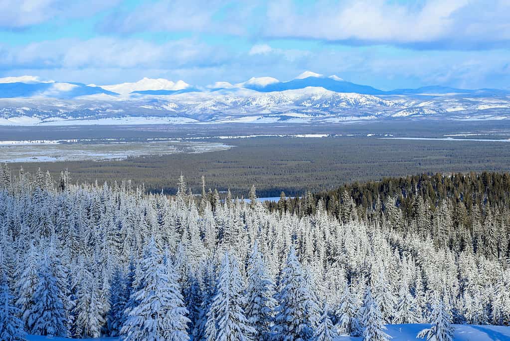 A view West Yellowstone, Montana in winter