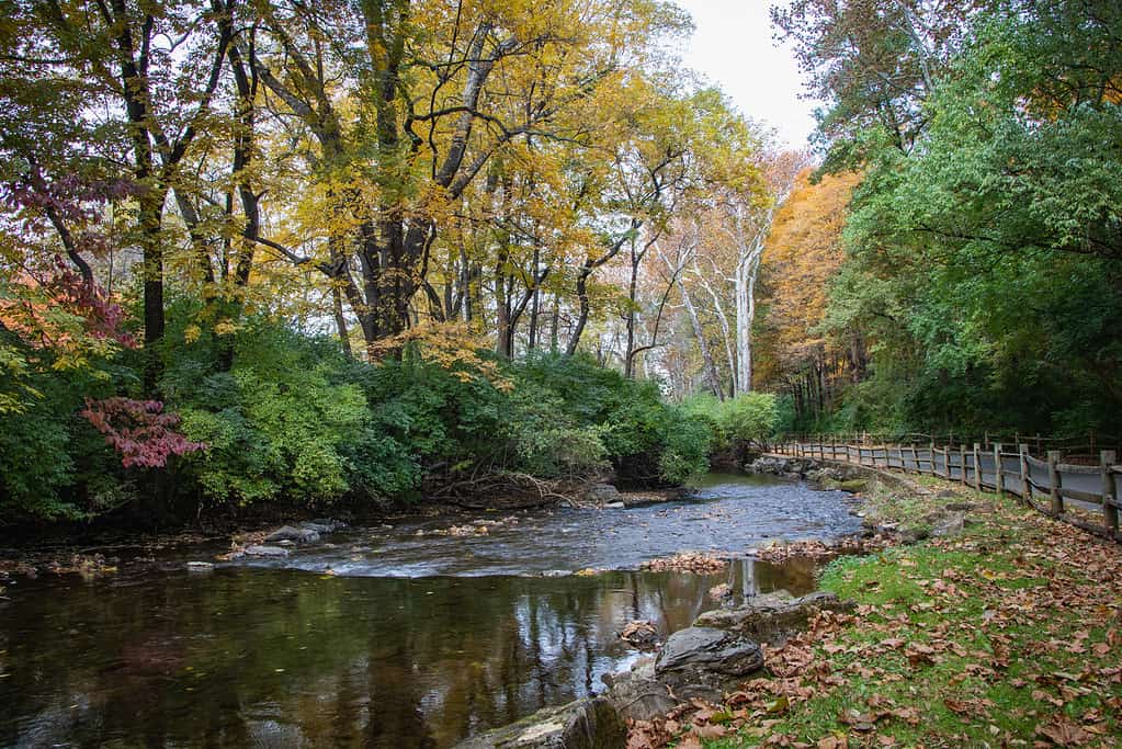 Wyomissing Creek surrounded by fall foliage near Reading, PA