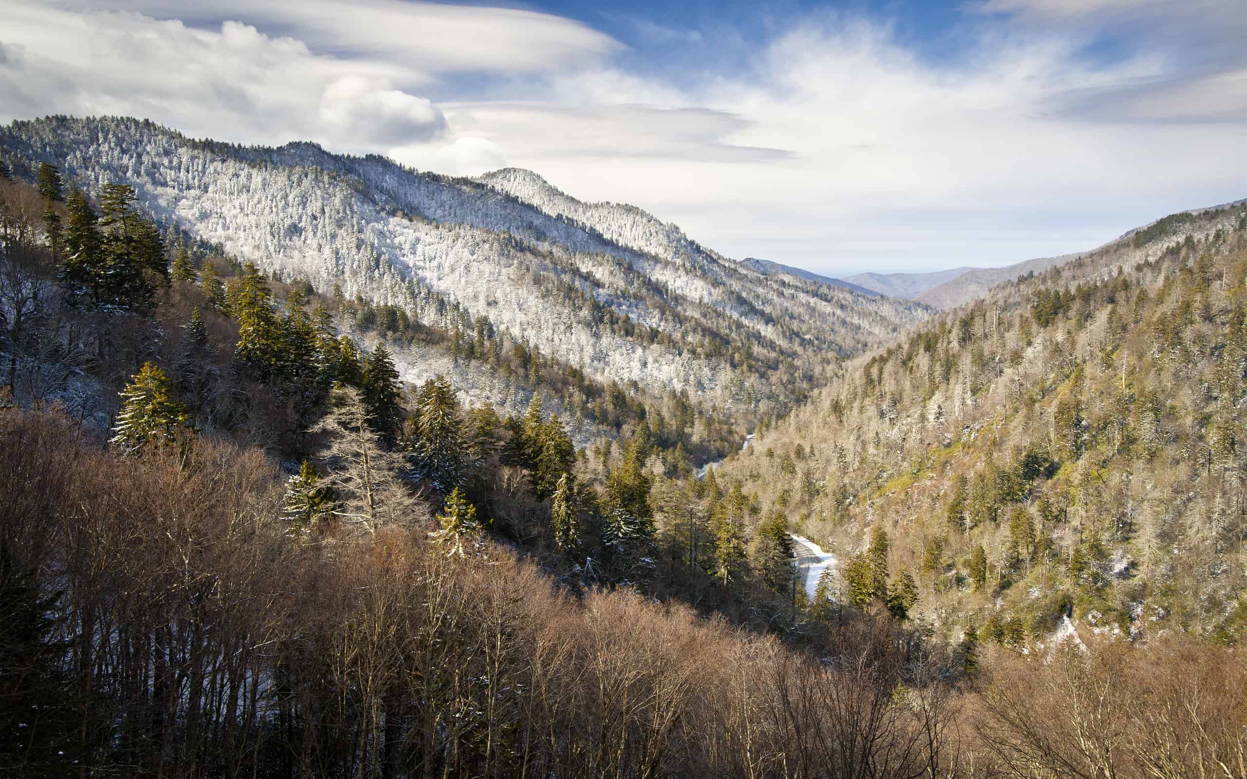 Snow in Gatlinburg Peak Timing and Best Places to Enjoy It AZ Animals