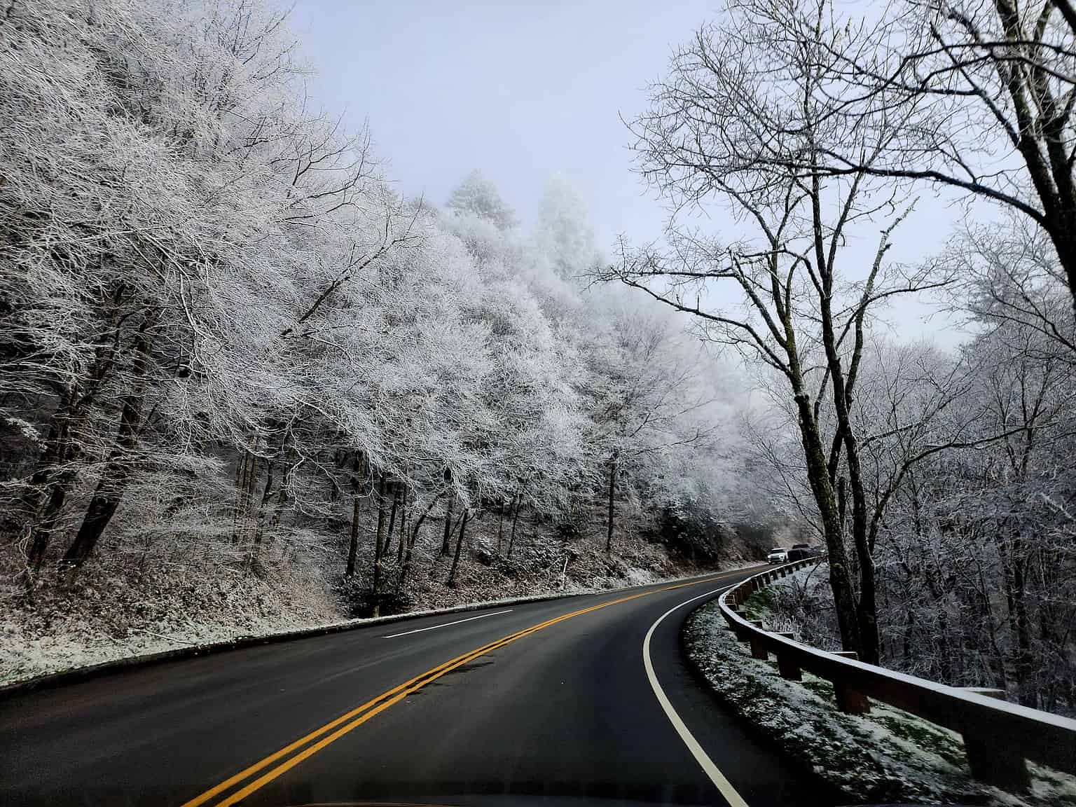 Snow in Gatlinburg Peak Timing and Best Places to Enjoy It AZ Animals