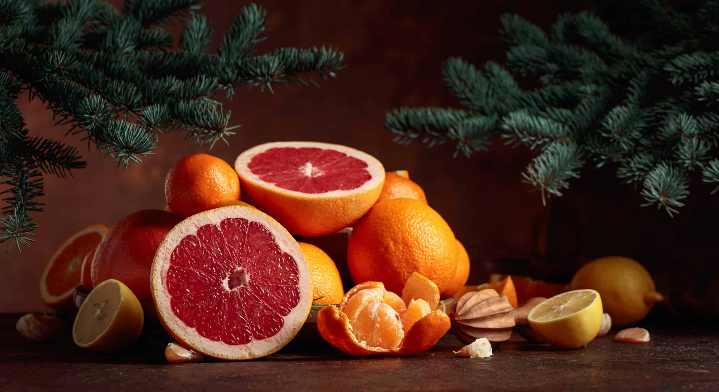 Citrus fruits and branch of spruce on a brown background.