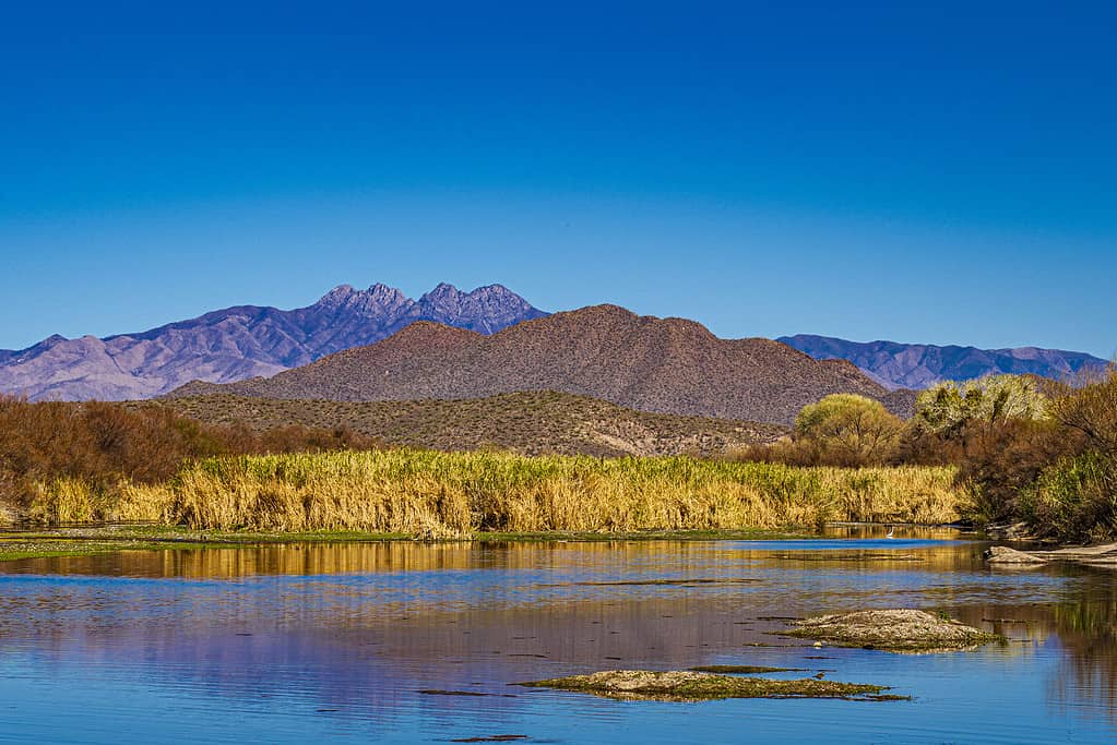 Rocky mountains near the water under the clear sky in Phon D Sutton Recreation area Mesa USA