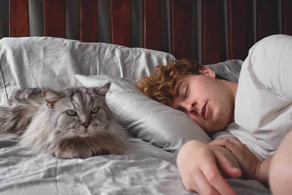 Young man sleeping with cat by his side