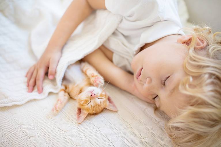 Baby boy sleeping with kitten. Child and cat.