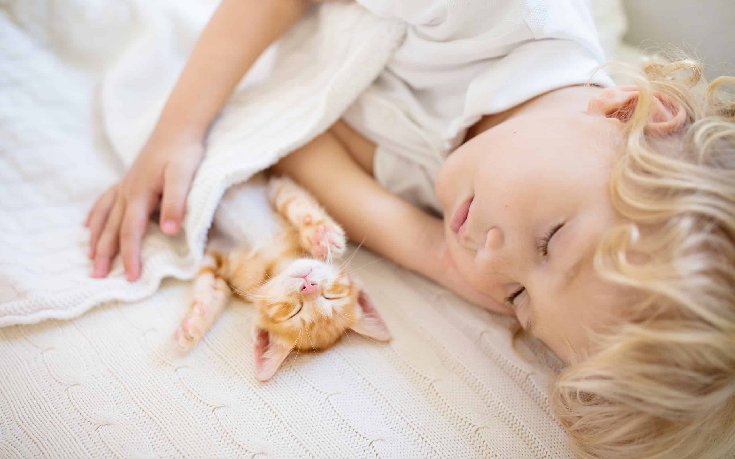 Baby boy sleeping with kitten. Child and cat.