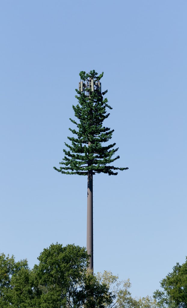 Cell towers are disguised as trees to distract from potential health risks and to make them less ugly.
