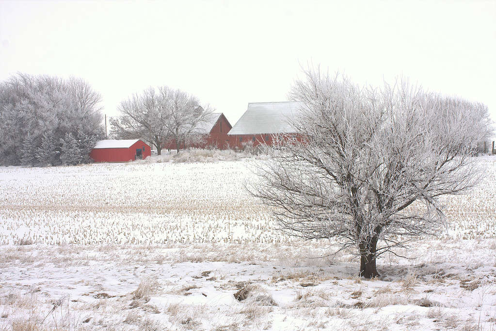 Red Barn, White Snow in Iowa