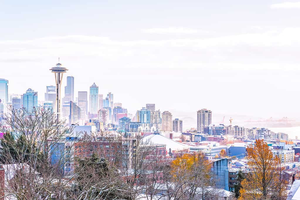Seattle city scape with snow coverd.