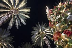 Discover the Florida Town Where It’s Always Christmas Picture
