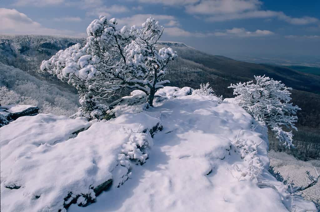 the biggest Christmas snowstorm to ever hit Washington