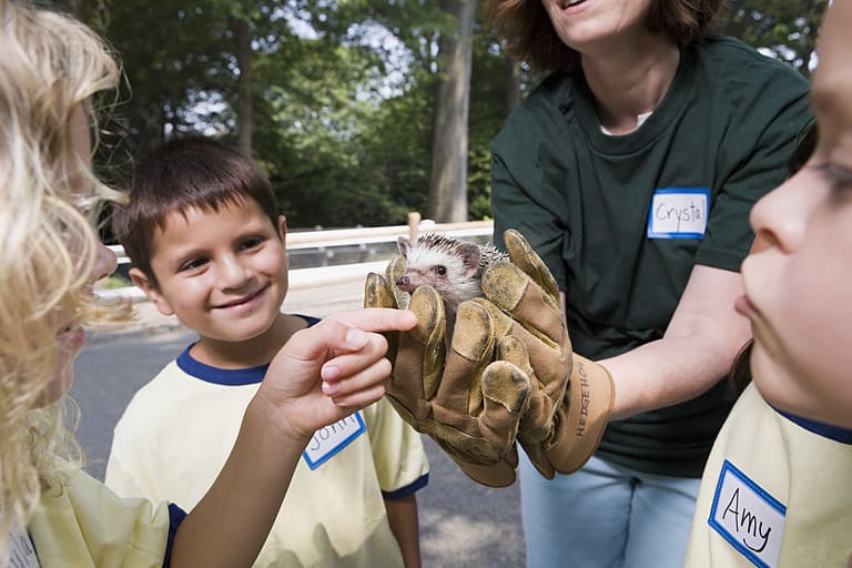 Kids and zoo keeper with hedgehog