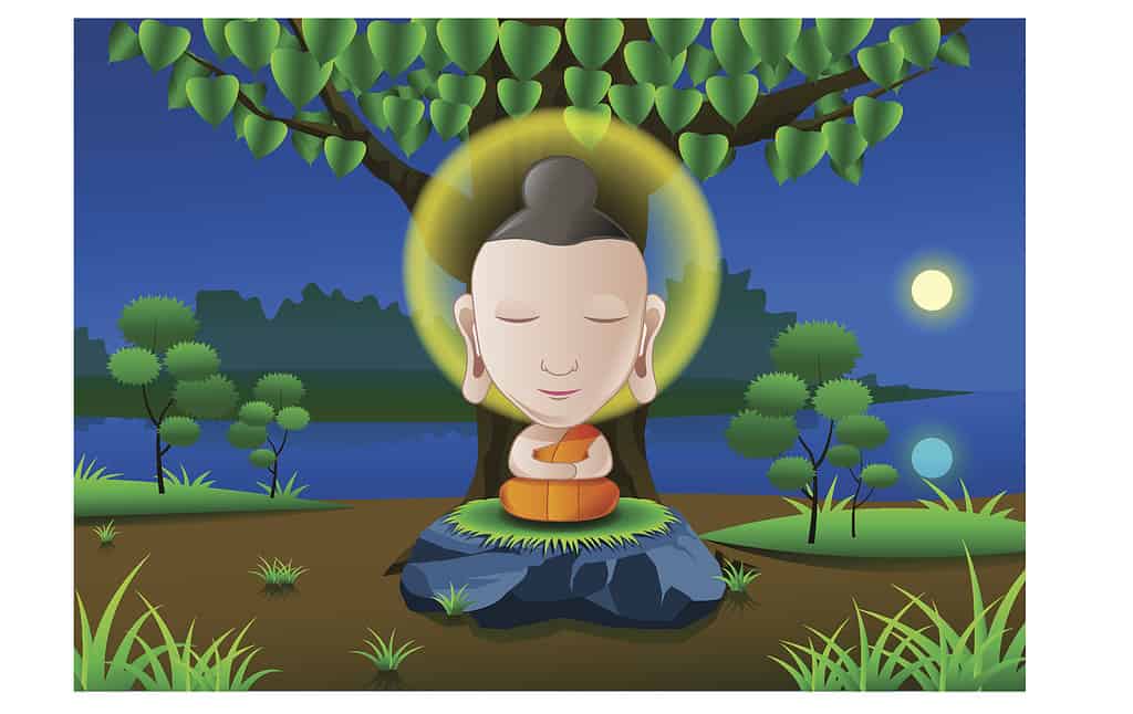 The Bodhi Tree is important because the Buddha sat under it until he achieved enlightenment.