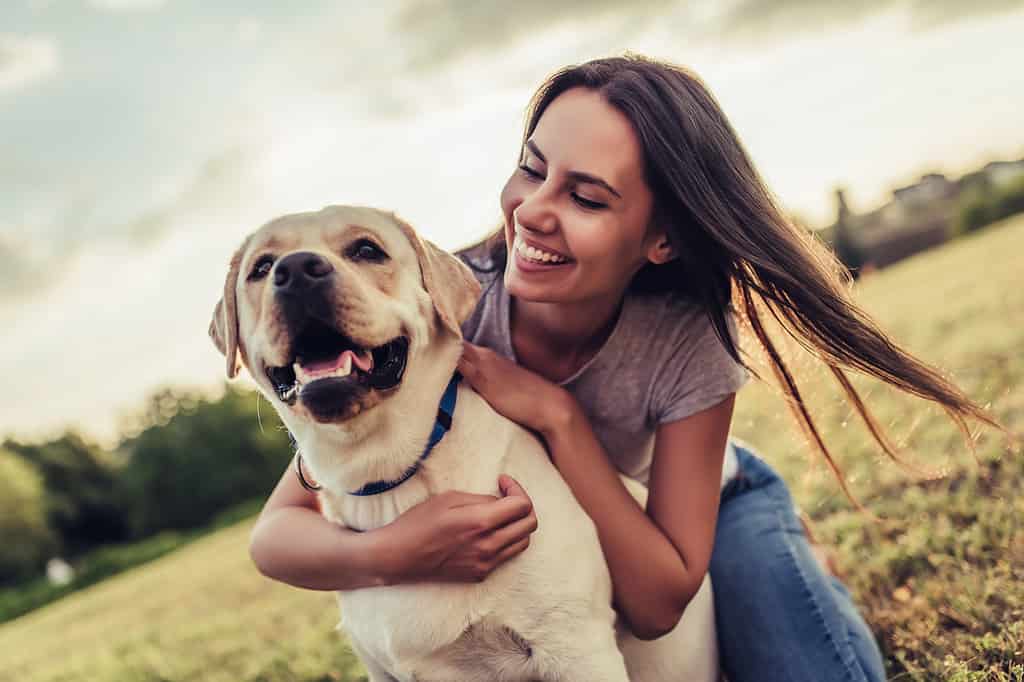 dogs similar to golden retrievers - Young woman with dog