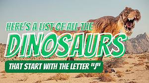 25 Dinosaurs That Start With J Picture