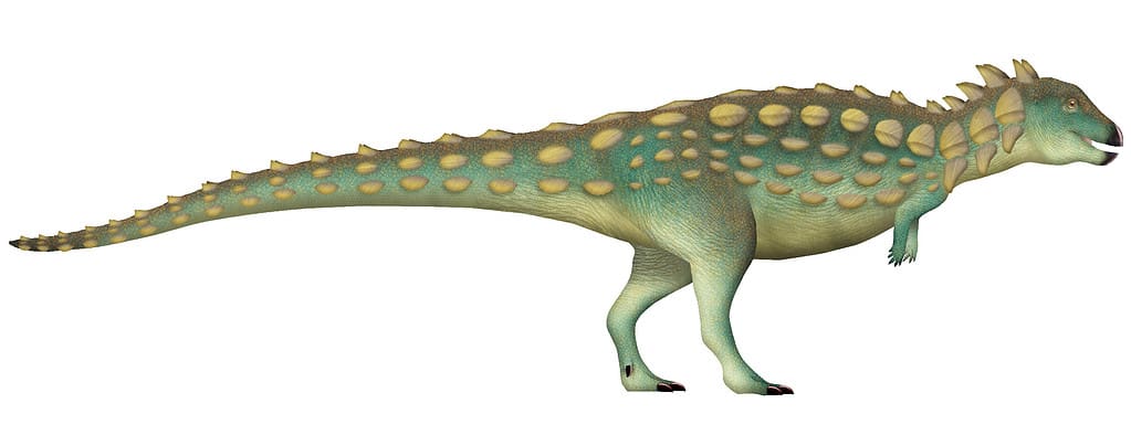 Jakapil kaniukura - dinosaurs that start with J