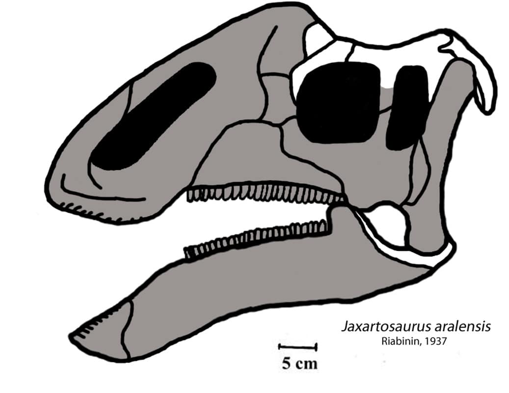 25 Dinosaurs That Start With J - A-Z Animals