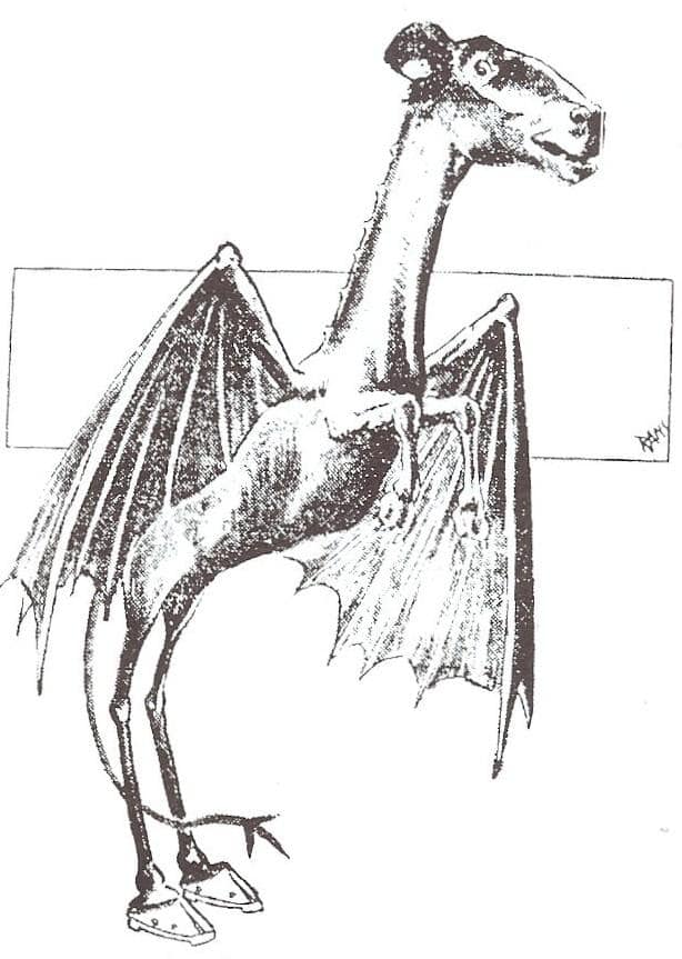 The Jersey Devil is a cryptid that has wandered the Pine Barrens of New Jersey for centuries. - Drawing from 1909 newspapers.