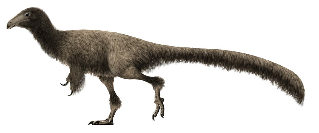Jianchangosaurus yixianensis