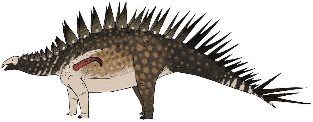Jiangjunosaurus junggarensis