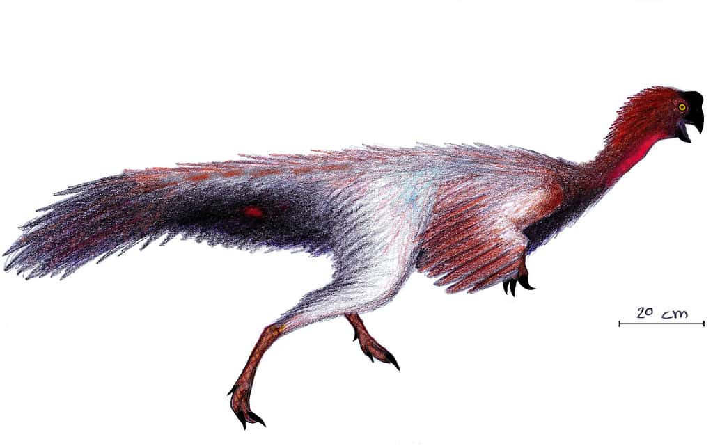 Jiangxisaurus ganzhouensis