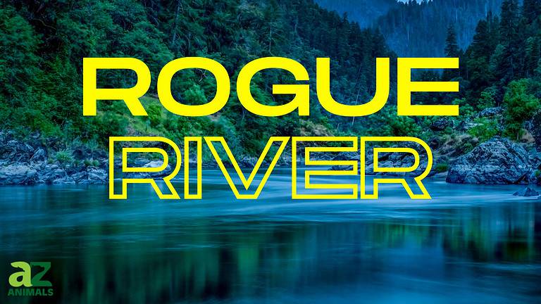 Rogue River