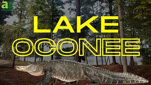 Discover 6 Creatures Living in Lake Oconee… Are Any Dangerous? Picture