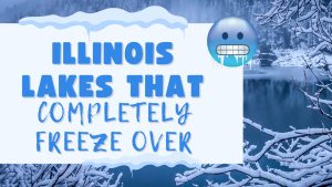 5 Lakes In Illinois That Completely Freeze Over in the Winter Picture