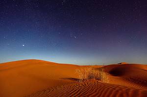 Discover Why It Gets So Cold in the Sahara Desert at Night Picture