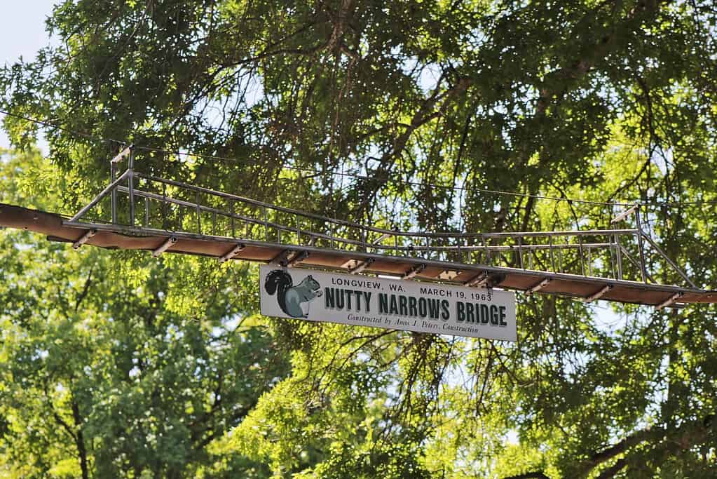 The Nutty Narrows Bridge for squirrels, in Longview, Washington.