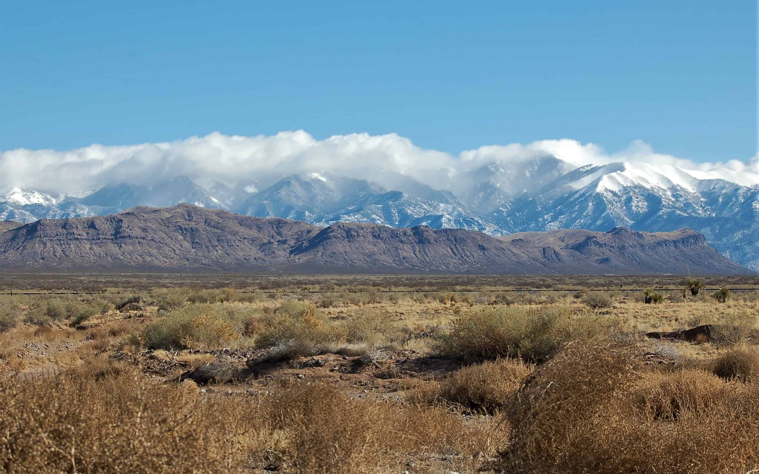 The Sacramento Mountains in New Mexico act as a sky island with its own endemic species.