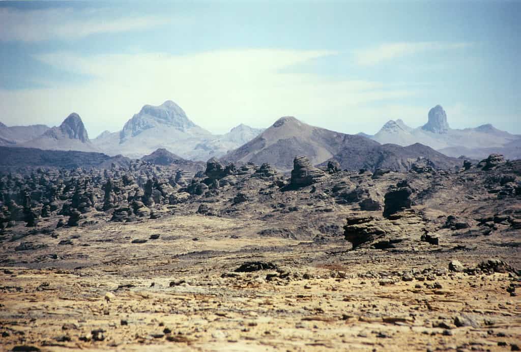 The Tibesti Mountains harbor a sky island in the Sahara Desert.