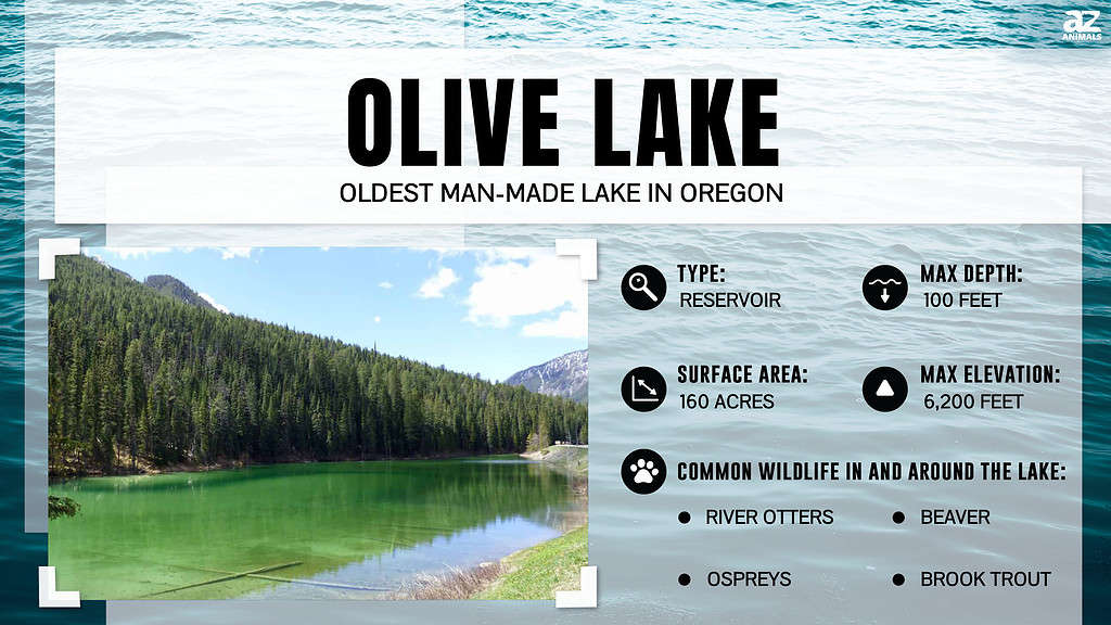 Olive Lake is the Oldest Man-Made Lake in Oregon