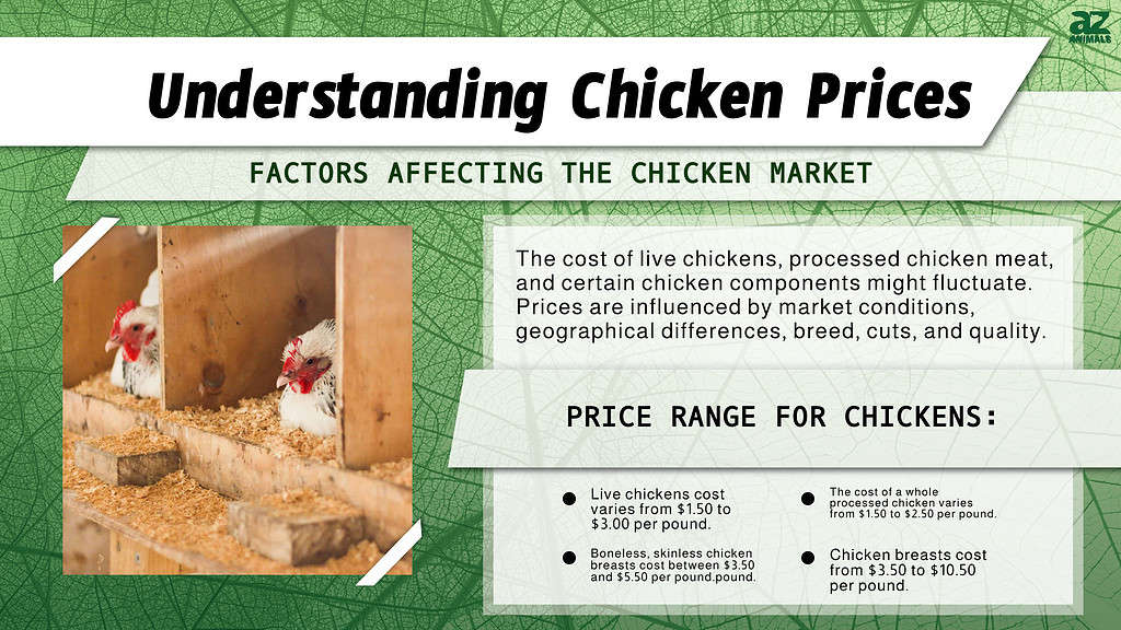 Understanding Chicken Prices