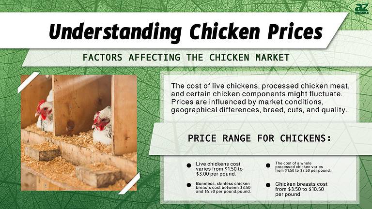 Chicken Prices 2024 Purchase Cost Supplies Food And More A Z Animals   Ab054d89cfc19e75793c43aba7ca6bb779ab122a 768x432 