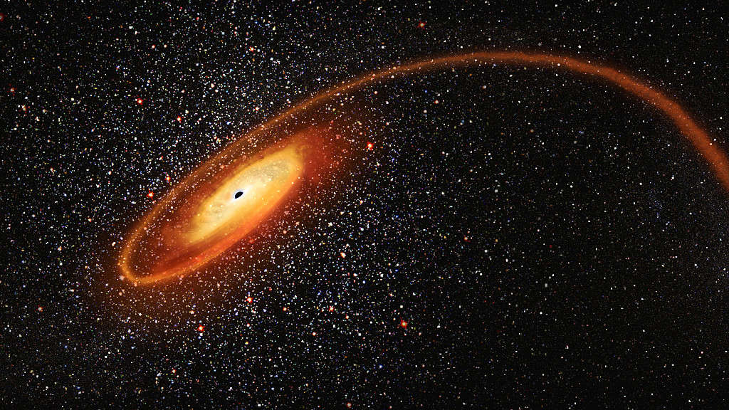 Black holes use destructive tidal forces to pull apart stars in a process called spaghettification. 
