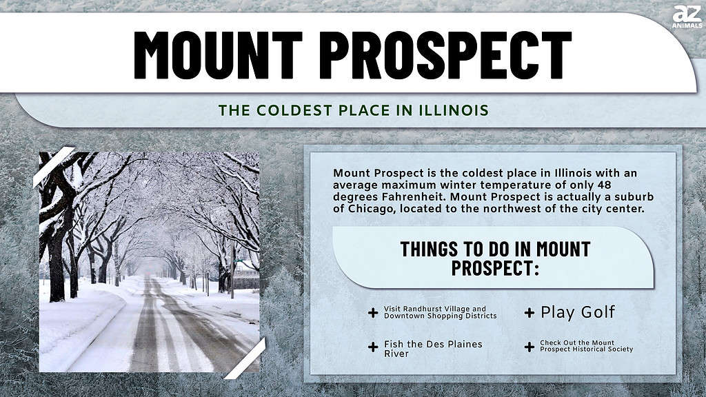 Mount Prospect is the Coldest Place in Illinois