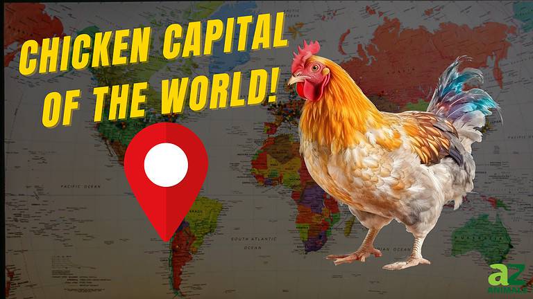 Chicken Capital of the World