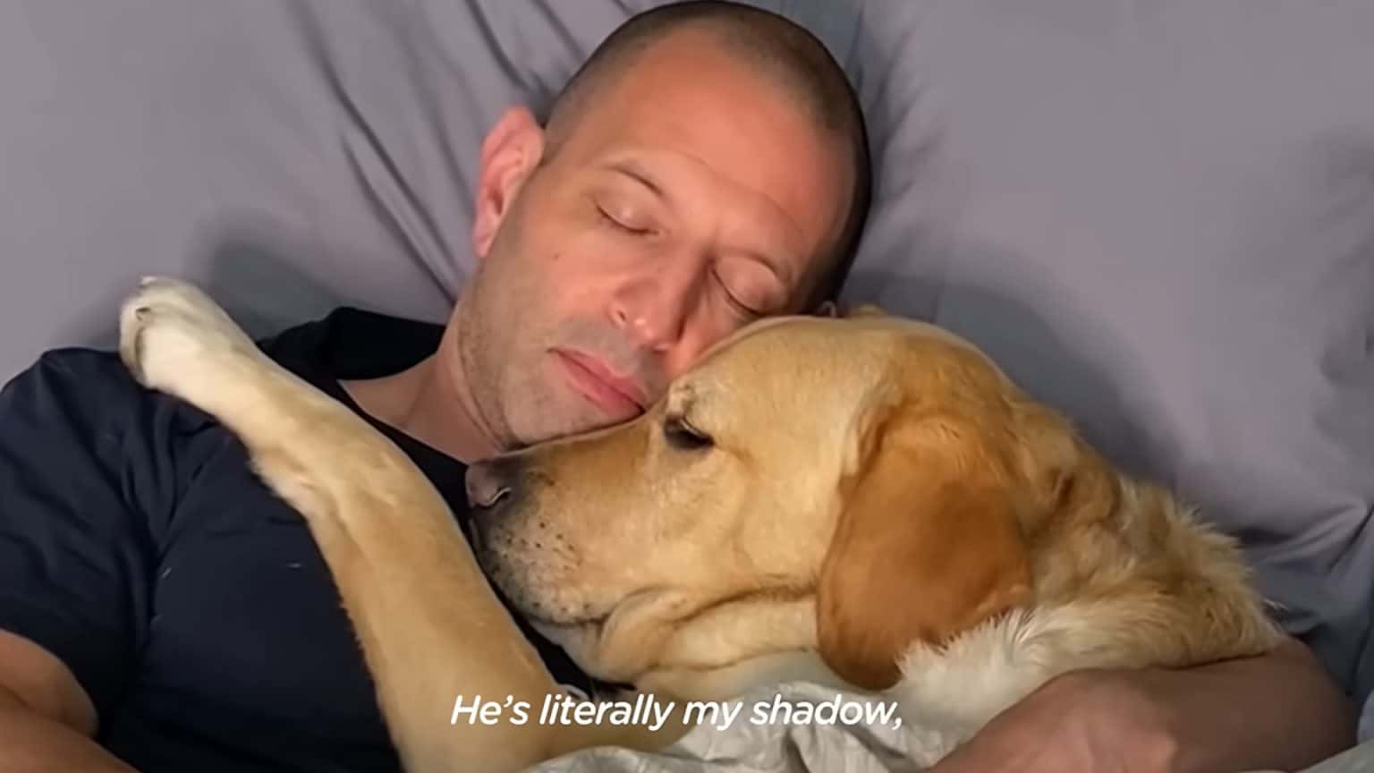 A Loyal Dog Stays with His Owner in Hospital | Level Up English Club