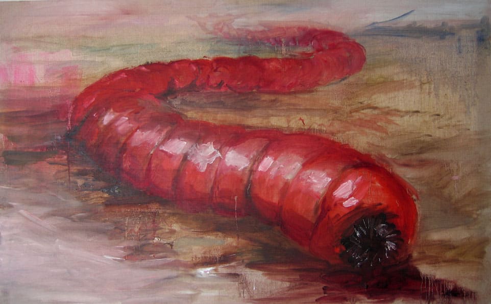 The Mongolian death worm is a cryptid in the Gobi Desert.