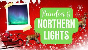 Jaw-Dropping Video Captures a Magical Winter Wonderland of Reindeer and Northern Lights Picture