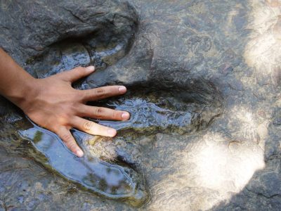 A You Could Fit Inside the Largest Dinosaur Footprint Ever Discovered