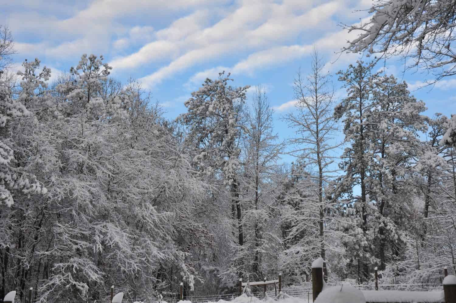Snowy days in Western Georgia USA