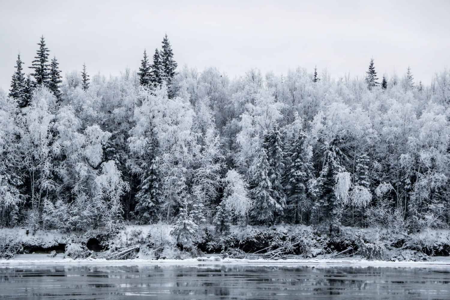 McGrath Alaska Winter