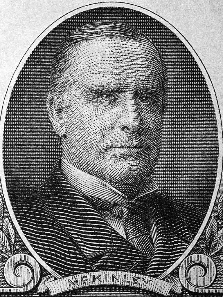 William McKinley a portrait from old American dollars