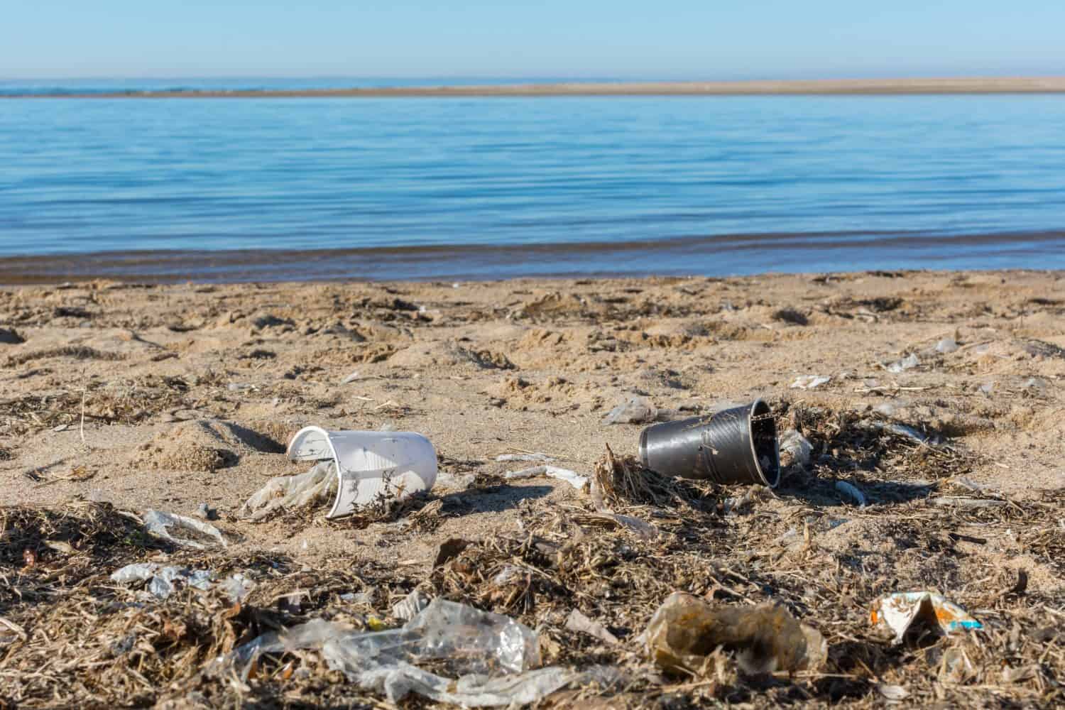 Plastic cups and other debris washed ashore, polluting Baltic sea coast beach