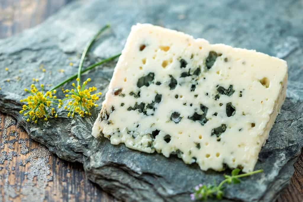 French blue cheese Roquefort, made from sheep milk in caves of Roquefort-sur-Soulzonwith grapes on grey stone