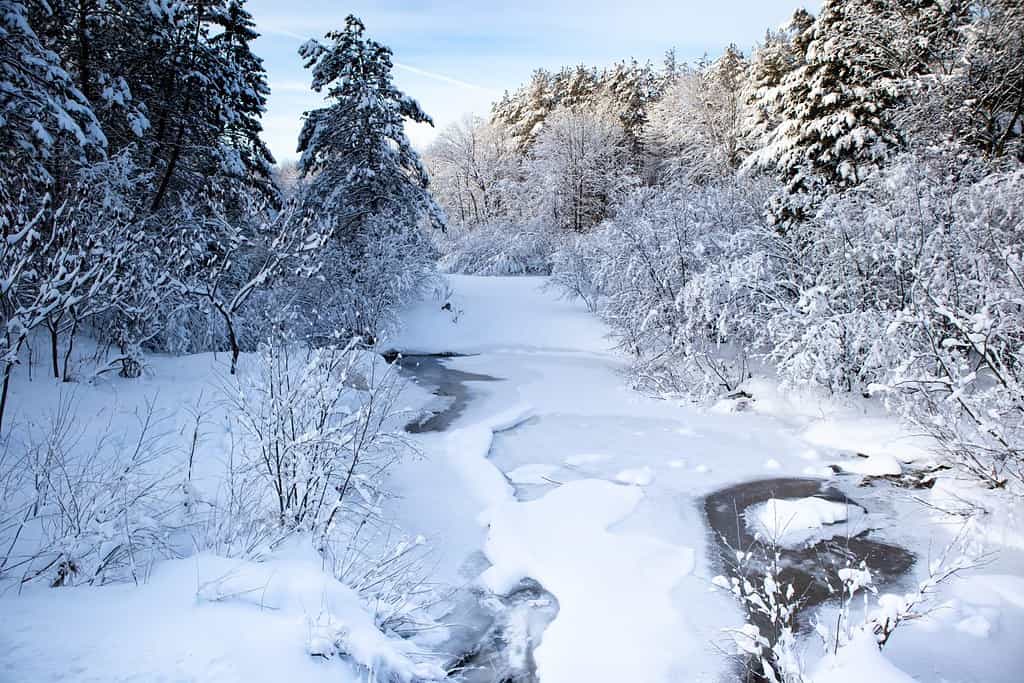 Snow covered river in a Wisconsin forest in January with blue skies, horizontal
