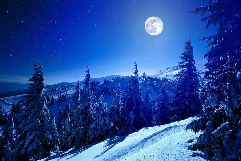 Full moon over winter deep forest covered with snow on winter night with many stars in sky. Landscape of winter wonderland nature concept